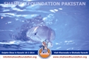 Dolphin Show Karachi Dolphin Show Karachi