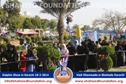 Dolphin Show Karachi Dolphin Show Karachi