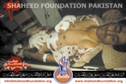 Parachinar Twin Blast Parachinar Twin Blast