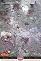 Parachinar Twin Blast Parachinar Twin Blast