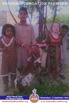 SFP Bakra Mandi Punjab 2016 SFP Bakra Mandi Punjab 2016