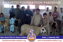 SFP Bakra Mandi Punjab 2016 SFP Bakra Mandi Punjab 2016