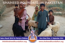 SFP Bakra Mandi Punjab 2016 SFP Bakra Mandi Punjab 2016