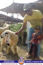 SFP Bakra Mandi Punjab 2016 SFP Bakra Mandi Punjab 2016