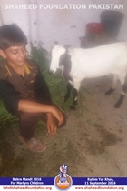 SFP Bakra Mandi Punjab 2016 SFP Bakra Mandi Punjab 2016