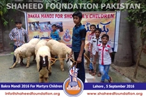 SFP Bakra Mandi Punjab 2016 SFP Bakra Mandi Punjab 2016