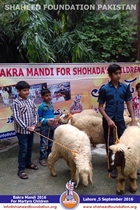 SFP Bakra Mandi Punjab 2016 SFP Bakra Mandi Punjab 2016