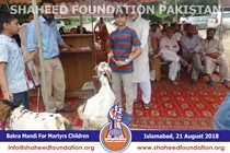 Bakra Mandi 2018 Bakra Mandi 2018