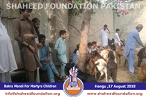 Bakra Mandi 2018 Bakra Mandi 2018
