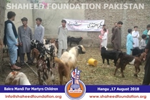 Bakra Mandi 2018 Bakra Mandi 2018