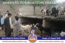 Bakra Mandi 2018 Bakra Mandi 2018