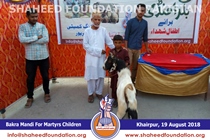 Bakra Mandi 2018 Bakra Mandi 2018