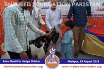 Bakra Mandi 2018 Bakra Mandi 2018