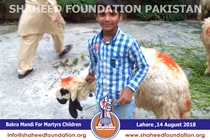 Bakra Mandi 2018 Bakra Mandi 2018