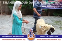 Bakra Mandi 2018 Bakra Mandi 2018