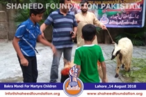 Bakra Mandi 2018 Bakra Mandi 2018