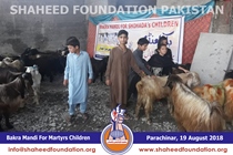 Bakra Mandi 2018 Bakra Mandi 2018
