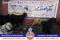 Bakra Mandi 2018 Bakra Mandi 2018
