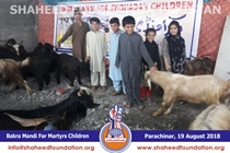 Bakra Mandi 2018 Bakra Mandi 2018