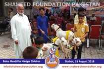 Bakra Mandi 2018 Bakra Mandi 2018