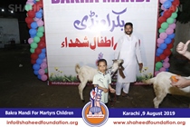 Bakra Mandi 2019 Bakra Mandi 2019