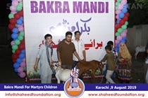 Bakra Mandi 2019 Bakra Mandi 2019