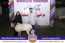 Bakra Mandi 2019 Bakra Mandi 2019