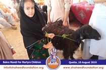 Bakra Mandi 2019 Bakra Mandi 2019