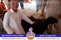 Bakra Mandi 2019 Bakra Mandi 2019