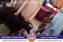 Bakra Mandi 2019 Bakra Mandi 2019
