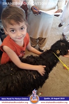 Bakra Mandi 2019 Bakra Mandi 2019