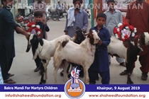 Bakra Mandi 2019 Bakra Mandi 2019