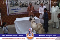 Bakra Mandi 2019 Bakra Mandi 2019