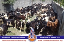 Bakra Mandi 2019 Bakra Mandi 2019