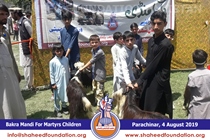 Bakra Mandi 2019 Bakra Mandi 2019