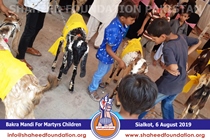Bakra Mandi 2019 Bakra Mandi 2019