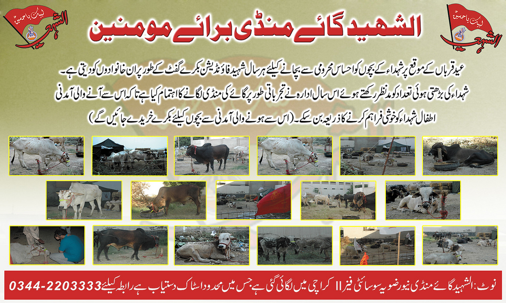 Eid-ul-Azhaa Projects 2012 Eid-ul-Azhaa Projects 2012