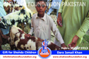 Dara Ismail Khan Bakra Mandi 2013 Dara Ismail Khan Bakra Mandi 2013