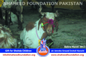 Karachi Bakra Mandi 2013 Karachi Bakra Mandi 2013