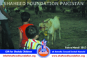 Karachi Bakra Mandi 2013 Karachi Bakra Mandi 2013