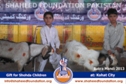 Kohat Bakra Mandi 2013 Kohat Bakra Mandi 2013
