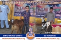 Kohat Bakra Mandi 2013 Kohat Bakra Mandi 2013