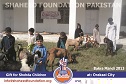 Bakra Mandi Orakzai Bakra Mandi Orakzai