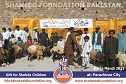 Bakra Mandi Parachinar Bakra Mandi Parachinar