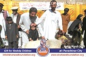 Bakra Mandi Parachinar Bakra Mandi Parachinar
