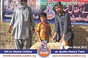 Bakra Mandi Quetta Bakra Mandi Quetta
