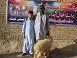 Bakra Mandi Quetta Bakra Mandi Quetta